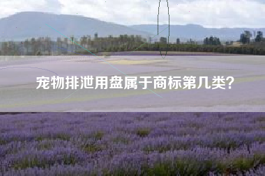 宠物排泄用盘属于商标第几类？