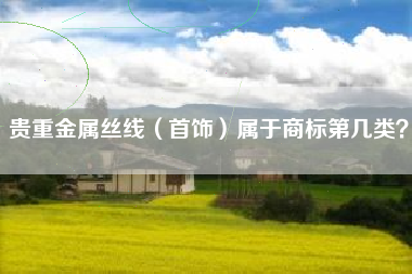 贵重金属丝线（首饰）属于商标第几类？