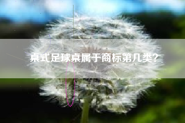 桌式足球桌属于商标第几类？
