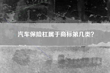 汽车保险杠属于商标第几类？