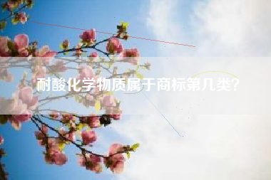耐酸化学物质属于商标第几类？