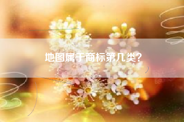 地图属于商标第几类？