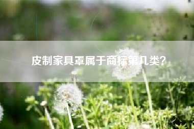 皮制家具罩属于商标第几类？
