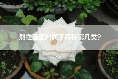 烈性酒配料属于商标第几类？