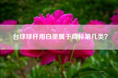 台球球杆用白垩属于商标第几类？