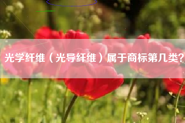 光学纤维（光导纤维）属于商标第几类？