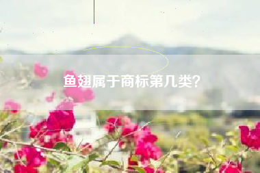 鱼翅属于商标第几类？