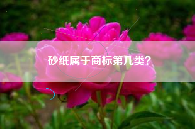 砂纸属于商标第几类？