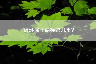 灶环属于商标第几类？
