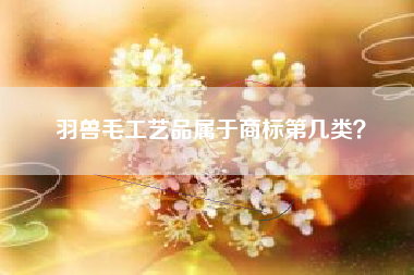 羽兽毛工艺品属于商标第几类？