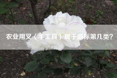 农业用叉（手工具）属于商标第几类？