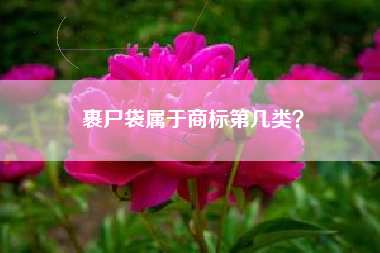 裹尸袋属于商标第几类？
