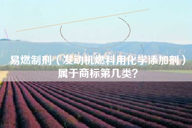 易燃制剂（发动机燃料用化学添加剂）属于商标第几类？