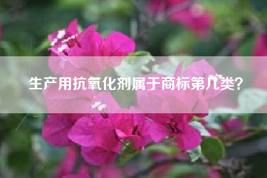 生产用抗氧化剂属于商标第几类？