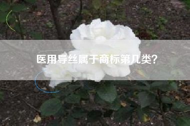 医用导丝属于商标第几类？