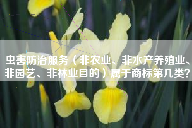虫害防治服务（非农业、非水产养殖业、非园艺、非林业目的）属于商标第几类？