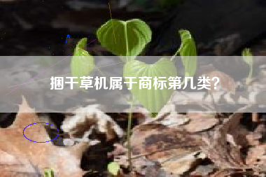 捆干草机属于商标第几类？