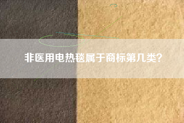 非医用电热毯属于商标第几类？