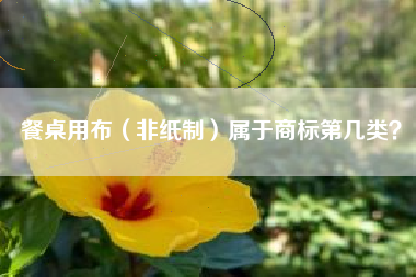 餐桌用布（非纸制）属于商标第几类？