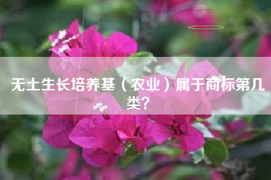 无土生长培养基（农业）属于商标第几类？