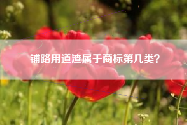 铺路用道渣属于商标第几类？