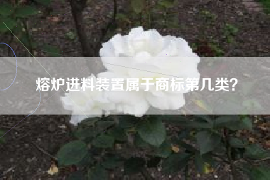 熔炉进料装置属于商标第几类？