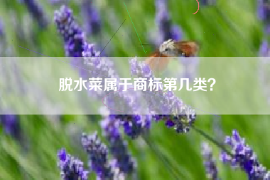 脱水菜属于商标第几类？