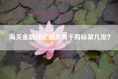 海关金融经纪服务属于商标第几类？
