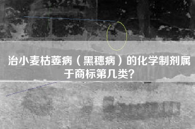 治小麦枯萎病（黑穗病）的化学制剂属于商标第几类？