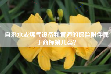 自来水或煤气设备和管道的保险附件属于商标第几类？