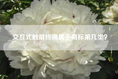 交互式触屏终端属于商标第几类？