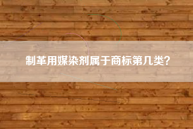制革用媒染剂属于商标第几类？