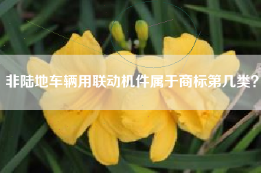 非陆地车辆用联动机件属于商标第几类？