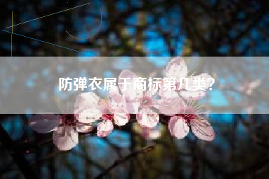 防弹衣属于商标第几类？