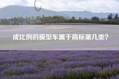 成比例的模型车属于商标第几类？