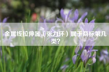 金属线拉伸器（张力环）属于商标第几类？