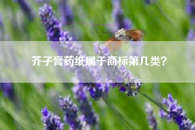芥子膏药纸属于商标第几类？