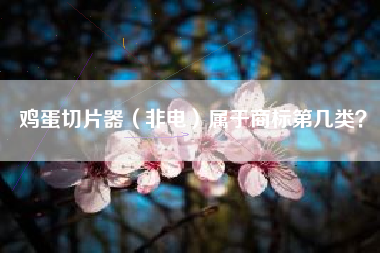 鸡蛋切片器（非电）属于商标第几类？