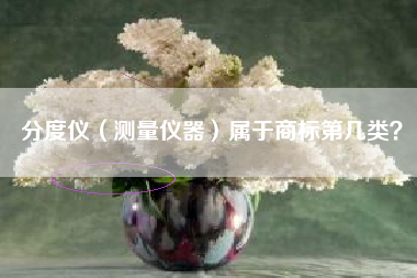 分度仪（测量仪器）属于商标第几类？