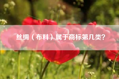 丝绸（布料）属于商标第几类？