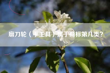 磨刀轮（手工具）属于商标第几类？