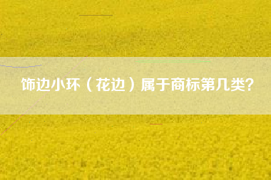 饰边小环（花边）属于商标第几类？