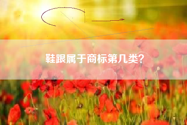 鞋跟属于商标第几类？