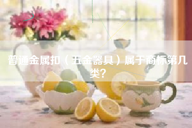 普通金属扣（五金器具）属于商标第几类？