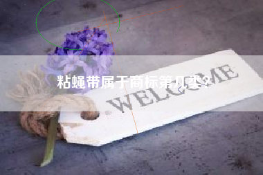 粘蝇带属于商标第几类？