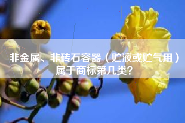 非金属、非砖石容器（贮液或贮气用）属于商标第几类？