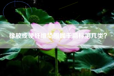 橡胶或硬纤维垫圈属于商标第几类？