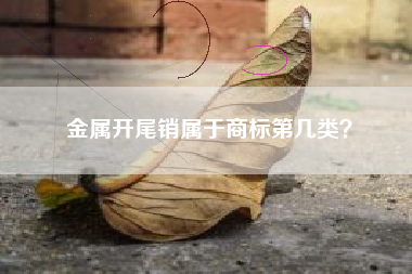 金属开尾销属于商标第几类？