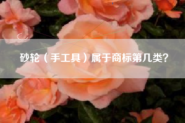 砂轮（手工具）属于商标第几类？