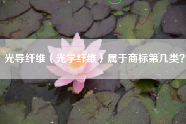 光导纤维（光学纤维）属于商标第几类？